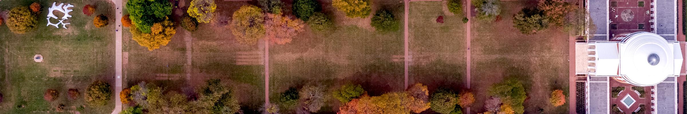 Aerial of the Lawn