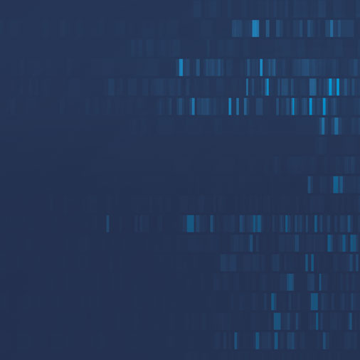 DNA sequencing